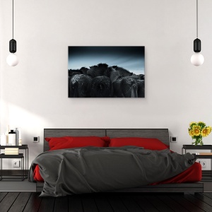 Tablou canvas - Vremea Rece, Cal, Cai, Animal, Abstract, Turma, 80 x 120 cm - Img 3