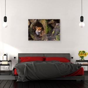 Tablou canvas - Vulpe, Salbatic, Ascunzand, 60 x 90 cm - Img 3