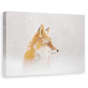 Tablou canvas - Zapada Cade, Kamceatka, Iarna, Vulpe, Animale, Natura, 40 x 60 cm