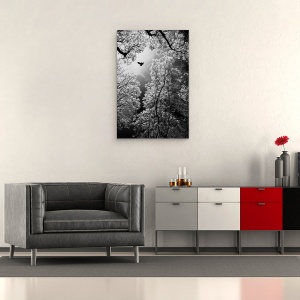 Tablou canvas - Zbor, Pasare, Copaci, Melenci, Serbia, 40 x 60 cm - Img 2