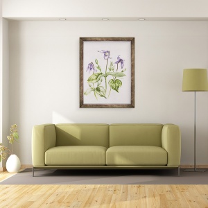 Tablou inramat - Alison Cooper - Clematis Integrifolia, 60 x 80 cm - Img 2
