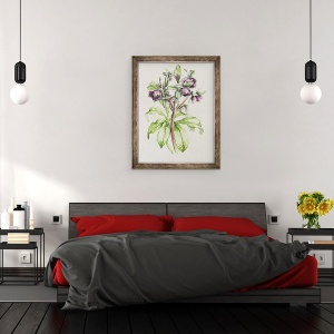 Tablou inramat - Alison Cooper - Helleborus Orientalis de Helen Ballard, 70 x 90 cm - Img 3