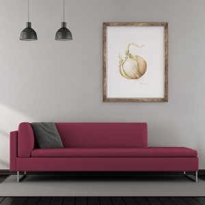 Tablou inramat - Alison Cooper - Studiu ceapa, 70 x 85 cm - Img 2