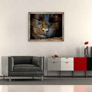 Tablou inramat - Ant Smith - Pisica Neagra doarme, 2020, 50 x 60 cm - Img 2
