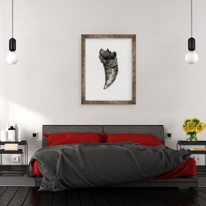 Tablou inramat - Bella Larsson - Dinte feline, 2014, 60 x 80 cm - Img 3