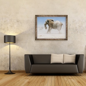Tablou inramat - Eric Meyer - Bull Elephant, Etosha, 2018, 60 x 80 cm - Img 2
