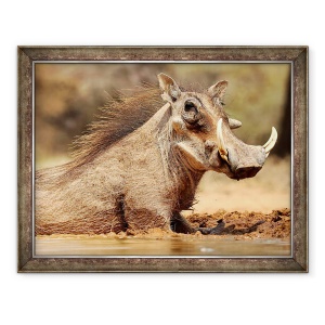 Tablou inramat - Eric Meyer - Warthog, Muntele Etjo Namibia, 60 x 80 cm