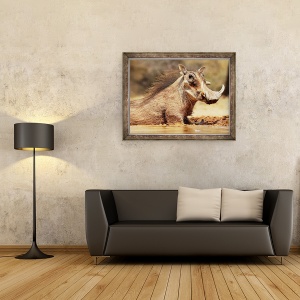 Tablou inramat - Eric Meyer - Warthog, Muntele Etjo Namibia, 60 x 80 cm - Img 2