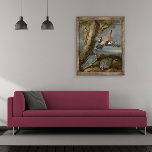 Tablou inramat - Francis Barlow - Jay, Ciocanitoarea verde, Porumbeii si Redstart, 50 x 60 cm - Img 2