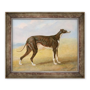 Tablou inramat - George Garrard - Unul dintre ogarii castigatori ai lui George Lane Fox - ogarul negru si alb, turc, cunoscut si sub numele de Eagle, 70 x 85 cm