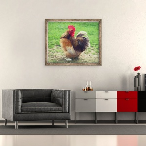 Tablou inramat - Helen White - Cockerel mandru, 2018, 50 x 60 cm - Img 2