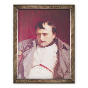 Tablou inramat - Hippolyte Delaroche - Napoleon 1769-1821 dupa abdicarea sa ulei pe panza, 70 x 90 cm