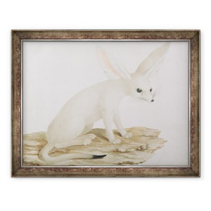 Tablou inramat - James Bruce - Fennec nr. 3 Originalul ilustratiei in "Calatoreste prin Abyssinia, 60 x 80 cm