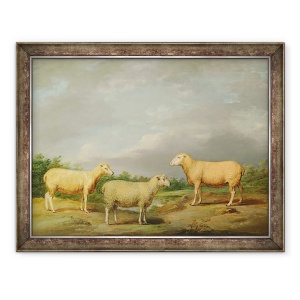 Tablou inramat - James Ward - Ryelands Oaie, Berbecul regelui, Oaia Regelui si Wether Lord Somerville, 60 x 80 cm