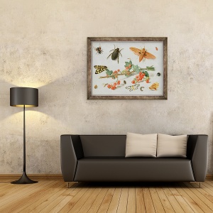Tablou inramat - Jan van Kessel the Elder - O crenguta de coacaze rosii cu o molie de soim elefant, o molie cotofana si alte insecte, 60 x 80 cm - Img 2