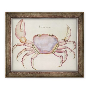 Tablou inramat - John White - Teren crab, 50 x 60 cm
