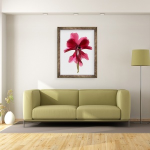 Tablou inramat - Julia McLemore - Dans ciclamen, 2009, 60 x 80 cm - Img 2