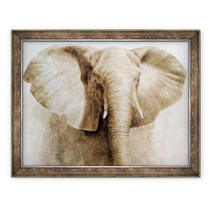 Tablou inramat - Lincoln Seligman - Elephant, 60 x 80 cm