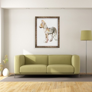 Tablou inramat - Mark Adlington - Waggle Arabian Wolf Pup, 2011, 70 x 90 cm - Img 2