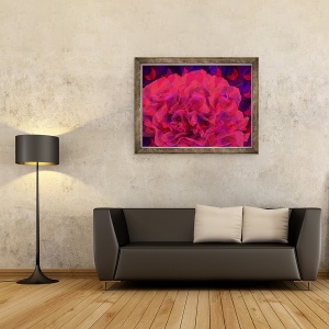 Tablou inramat - Scott J. Davis - Garoafe, 70 x 90 cm - Img 2