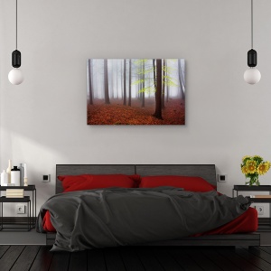 Tablou canvas - Abia trezit, Peisaj, Padure, Albastru , Ceata, 40 x 60 cm - Img 3