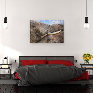Tablou canvas - Addo Dragoste, Elefant, Salbatic, Animal, Interactiune, 40 x 60 cm - Img 3