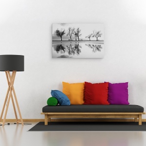 Tablou canvas - Alb-Negru, Parc, Banca, Pomi, Grafic, Silueta, 60 x 90 cm - Img 2