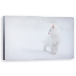Tablou canvas - Alba Ca Zapada, Pisica, Iarna, Pet, Animal, 50 x 100 cm
