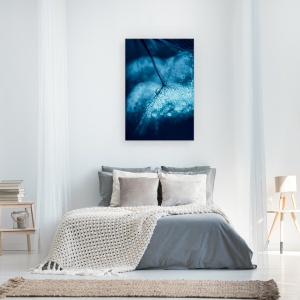 Tablou canvas - Albastru, Macro, Picaturi, Papadie, 60 x 90 cm - Img 3
