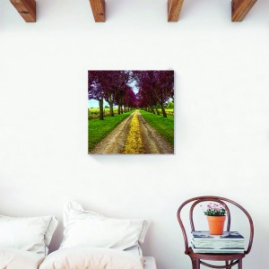 Tablou decorativ canvas cu alee în pășune și copaci