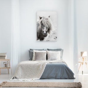 Tablou canvas - Animale, Cal, Natura, Alb-Negru, 40 x 60 cm - Img 3