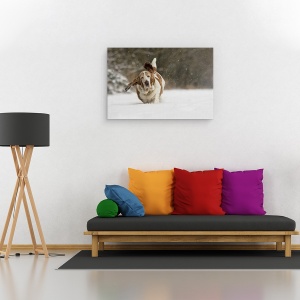 Tablou canvas - Aproape Aeropurtat, Caine, Zapada, Iarna, 40 x 60 cm - Img 2