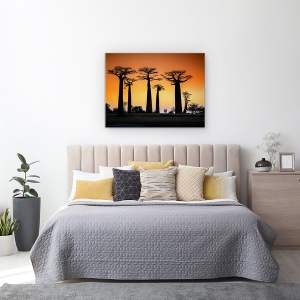 Tablou canvas - Apus De Soare In Morondava, Peisaj, Calatorie, Madagascar, 75 x 100 cm - Img 3