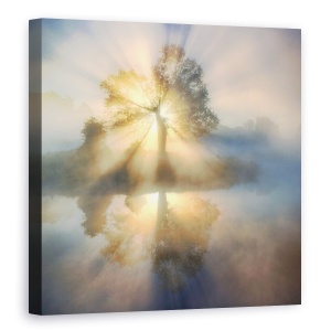 Tablou canvas - Arborele Luminii, Abur, Raze, Lac, Ceata, Usor, Insula, 60 x 60 cm