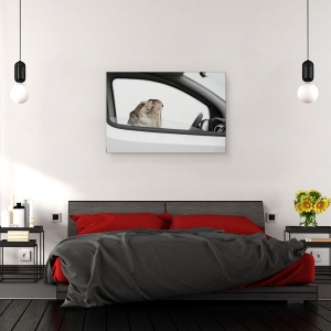 Tablou canvas - Arestat Pentru Excesul De Viteza, Caine, Animal, Pet, Sofer, 80 x 120 cm - Img 3