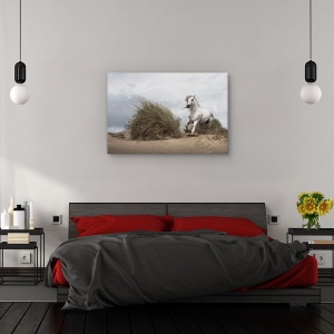 Tablou canvas - Armasar alb pe plaja, Animal, Cai, Actiune , Coasta, 60 x 90 cm - Img 3