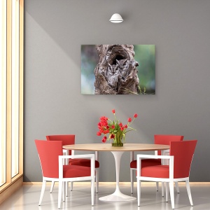 Tablou canvas - Ascuns, Bufnita, Pasare, Copac, 40 x 60 cm - Img 4