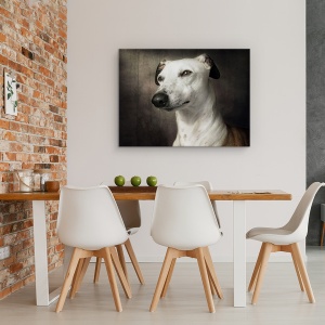 Tablou canvas - Asteptand, Ogar, Canin, La Vedere, Caine, 75 x 100 cm - Img 4