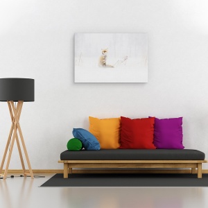 Tablou canvas - Asteptand, Vulpe, Iarna, Padure, Zapada, Rece, 80 x 120 cm - Img 2