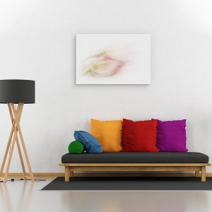 Tablou canvas - Atingand, Lalele, Studio, Moale, Roz, 60 x 90 cm - Img 2