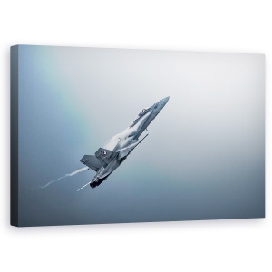 Tablou canvas - Avion, Airshow, Avion, Gri, Nori, Luptator, 50 x 80 cm