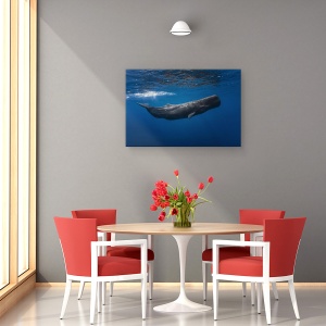 Tablou canvas - Balena, Balena, Sub Apa, Cachalot, Mauritius, Mare, 40 x 60 cm - Img 4