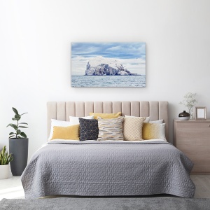Tablou canvas - Bass Rock, Gannet, Zburand, Morus, Bassana, Sula, 50 x 80 cm - Img 3