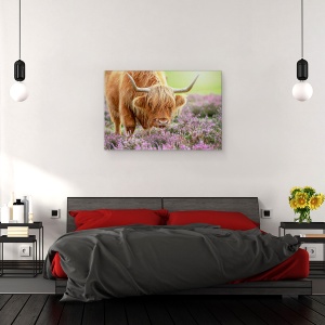 Tablou canvas - Bivol in Campie de Flori, Vaca, Bovine, Taur, Animal, Claxoane, Rural, 40 x 60 cm - Img 3