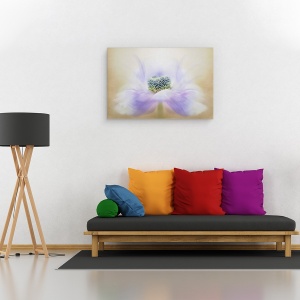 Tablou canvas - Briza, Anemona, Floare, Macro, Moale, 60 x 90 cm - Img 2