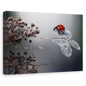 Tablou canvas - Buburuza pe hortensie , Flori, Insecte, Rosu, Toamna, 80 x 120 cm