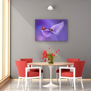 Tablou canvas cu hortensie violet și buburuze