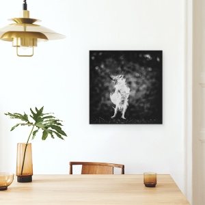 Tablou canvas - Bucurie, Alb-Negru, Caine, Sari, Zbor, Nebun, 60 x 60 cm - Img 4