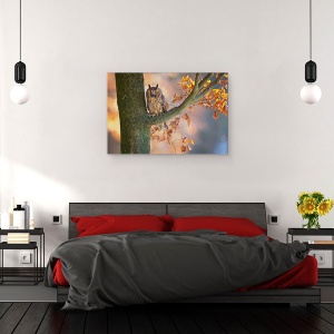 Tablou canvas - Bufnita Cu Urechi Lungi, Bufnita, Pasare, Ramura, Toamna, Toamna, 60 x 90 cm - Img 2