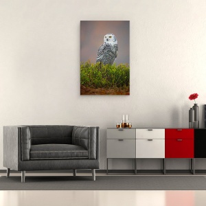Tablou canvas - Bufnita De Zapada, Pasare, Salbatic, 40 x 60 cm - Img 2